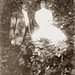 Leon Harrison Photo 16
