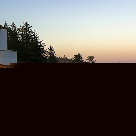 Carl Daniel Photo 5