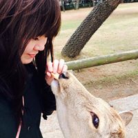 Kelly Tse Photo 28