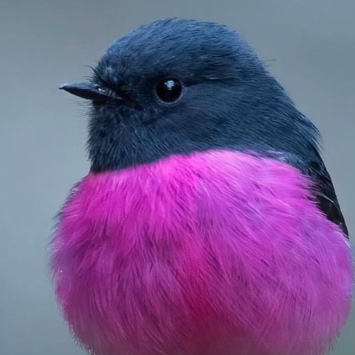 Lauren Reich Photo 6