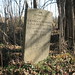 Rebecca Merritt Photo 15