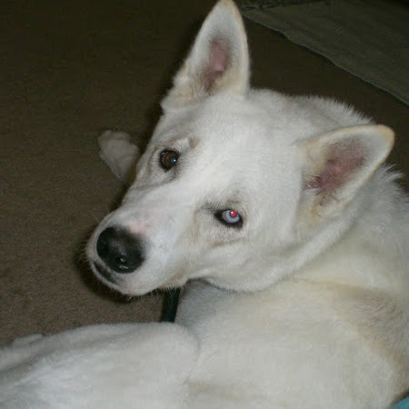 David Hartshorn Photo 10