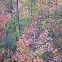 Joseph Dudley Photo 36