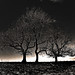 Christopher Whitcombe Photo 9