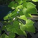 Liming Zhang Photo 18
