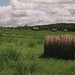 Troy Fields Photo 16