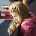 Rachelle Guthrie Photo 9