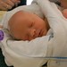 Everett Davis Photo 18