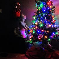 Tim Meeks Photo 9