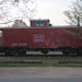 Janice Dalton Photo 9