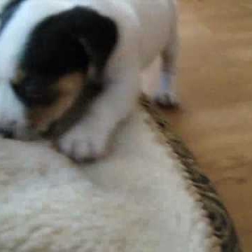 Matthew Clark Photo 44