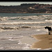Juan Larios Photo 23