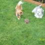 Nancy Gregory Photo 41