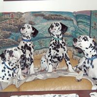 Mary Bergin Photo 21