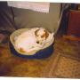 Dianne Evans Photo 19
