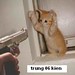 Hung Lu Photo 27