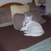 Deborah Staats Photo 9