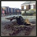 Clifford Hatch Photo 10