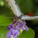 Kathy Key Photo 4