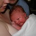 William Gavin Photo 11