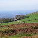 Paul Cooley Photo 19
