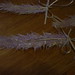 Doris Craft Photo 11