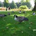 Heather Robson Photo 17