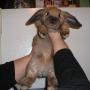Aimee Becker Photo 18