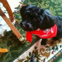 Nancy Swartz Photo 3