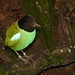 Robin Blackburn Photo 32