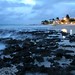 Arlene Storm Photo 10