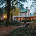 Anne Ward Photo 12