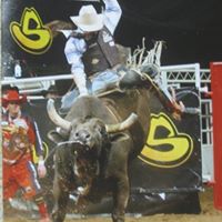 Shawn Proctor Photo 38
