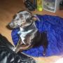 Ann Fleming Photo 10