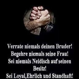 Ronald Schmidt Photo 17