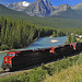 Alberta Robinson Photo 31