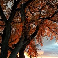 Lori Gill Photo 15
