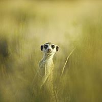 Richard Benda Photo 18
