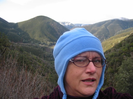 Cindi Lewis Photo 2