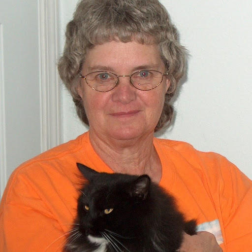 Sandy Martin Photo 7