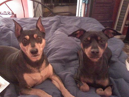 Carol Scruggs Photo 4