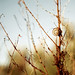 Kelly Flores Photo 23