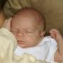 Stacey Gillis Photo 21