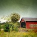 Marilyn Summers Photo 19