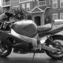 Nick Sheppard Photo 23