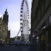 Miller Sheffield Photo 9
