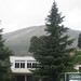 Zong Yang Photo 9