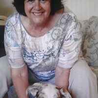 Sandra Hawes Photo 6