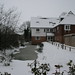 Gus Singleton Photo 15