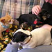 John Speck Photo 39